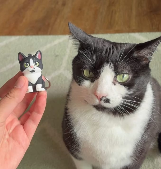 Customer photo review of Custom 3D Pet Figure Keychain