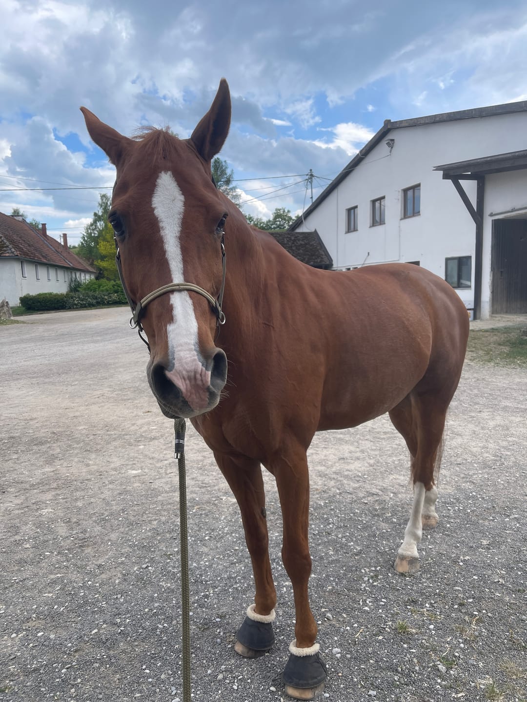 Customer photo review of Kristallkraft No2