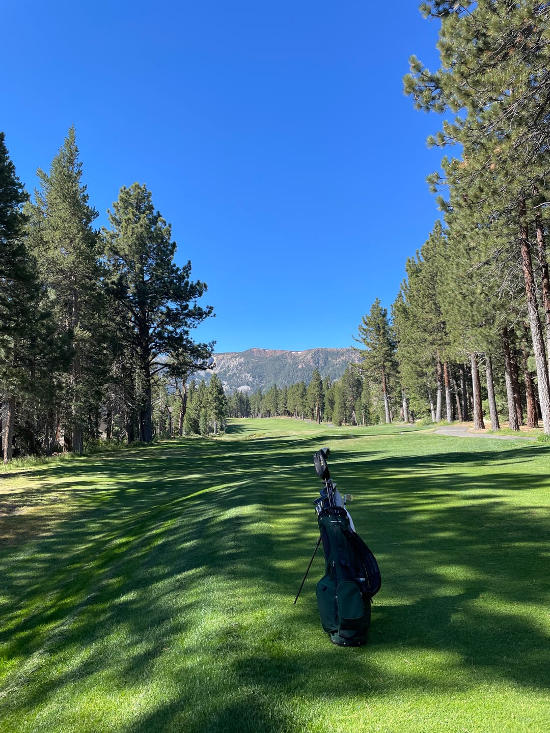 Customer photo review of Hudson Looper Golf Bag 2.0