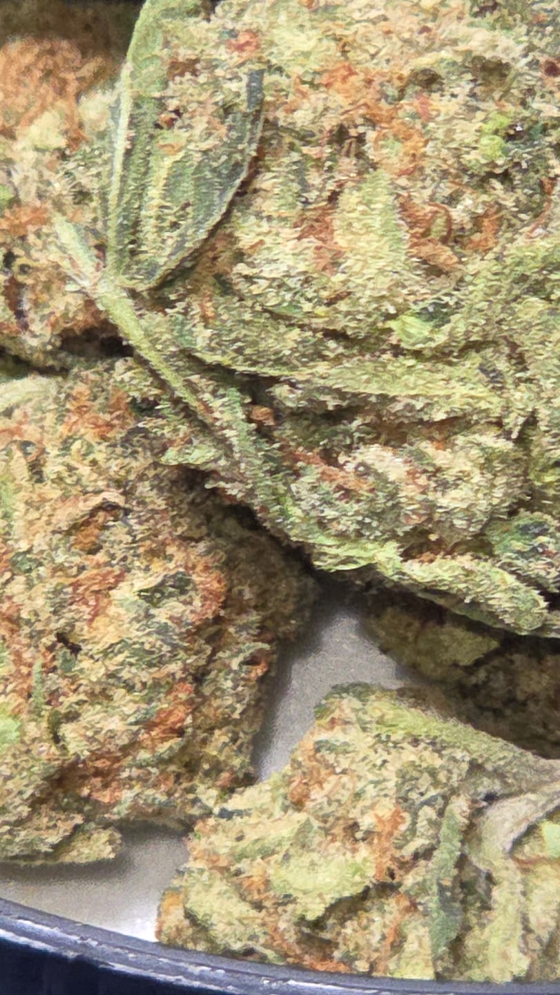 Customer photo review of Headband THCA Flower (Exotic)