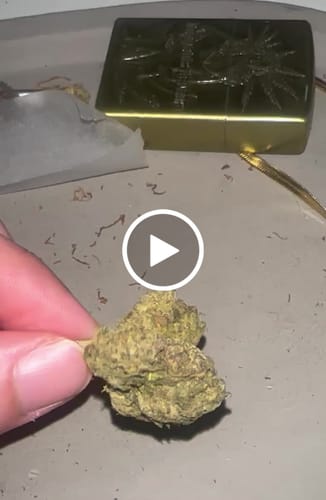 Customer video review of Blueberry Muffin THCA Flower