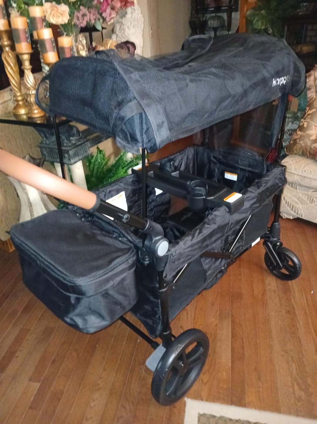 Customer photo review of Remy 2-Seat Wagon Stroller
