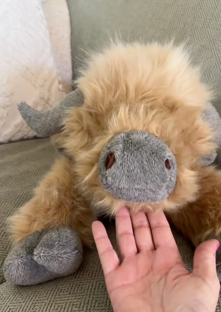 Customer photo review of Weighted Cow Plush