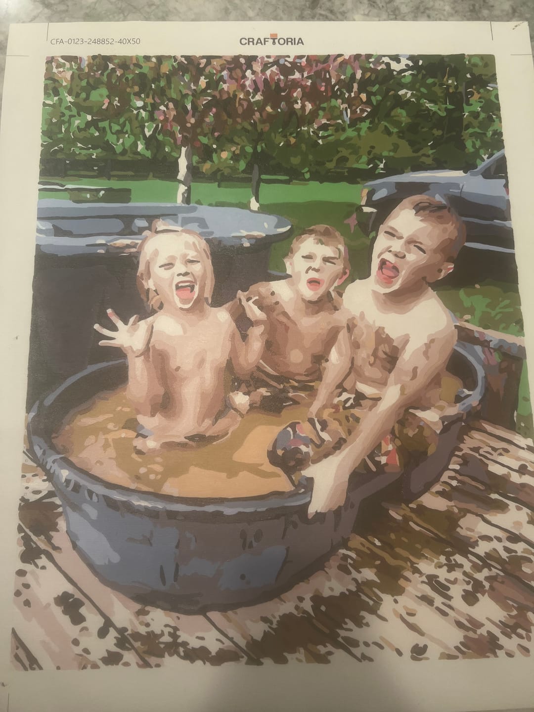 Customer photo review of Custom Paint By Numbers Kit