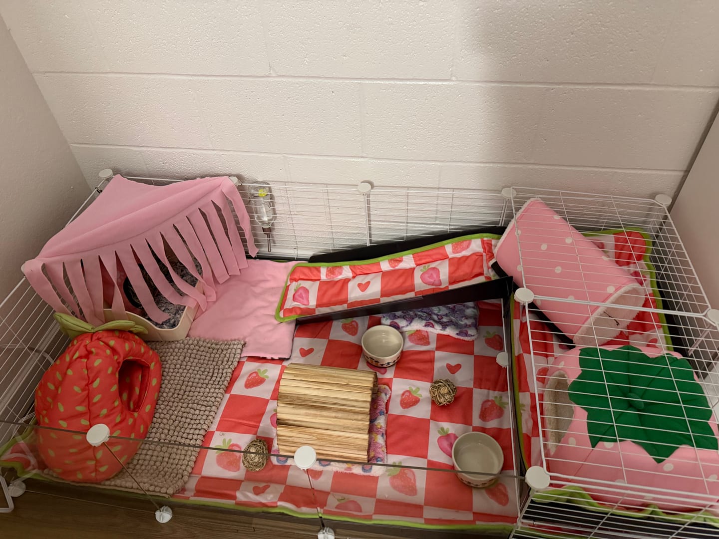 Customer photo review of 4x2 C&C Guinea Pig Cage