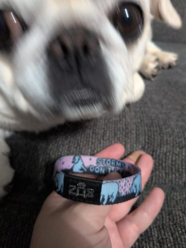 Customer holding the pink and blue Storms Don't Stay Bracelet in their hand, with a cute pug in the background.