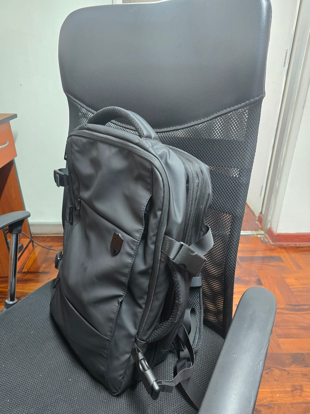 Customer photo review of Grand Travel Backpack