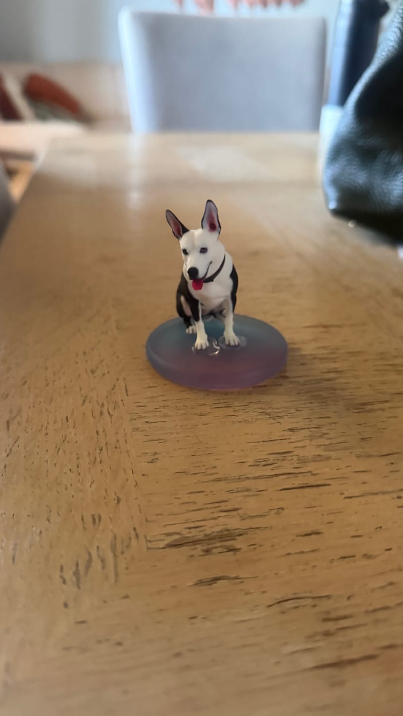Customer photo review of Custom 3D Action Figure: Personalized 3D Figurine from Photo