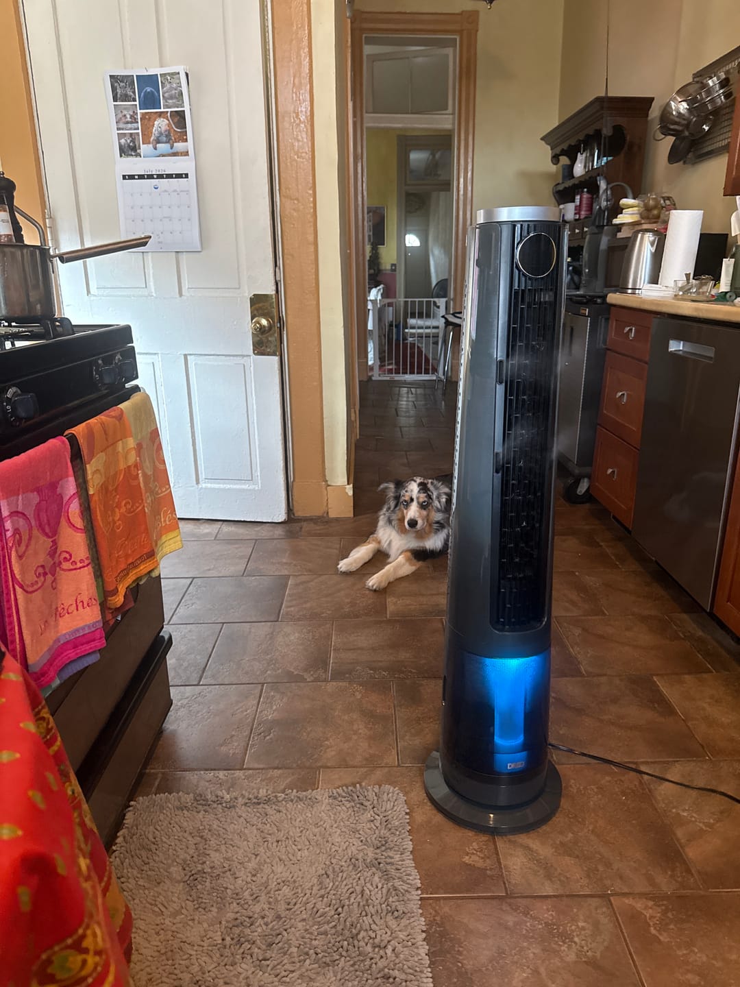 Customer photo review of TurboCool™ Misting Fan 765S