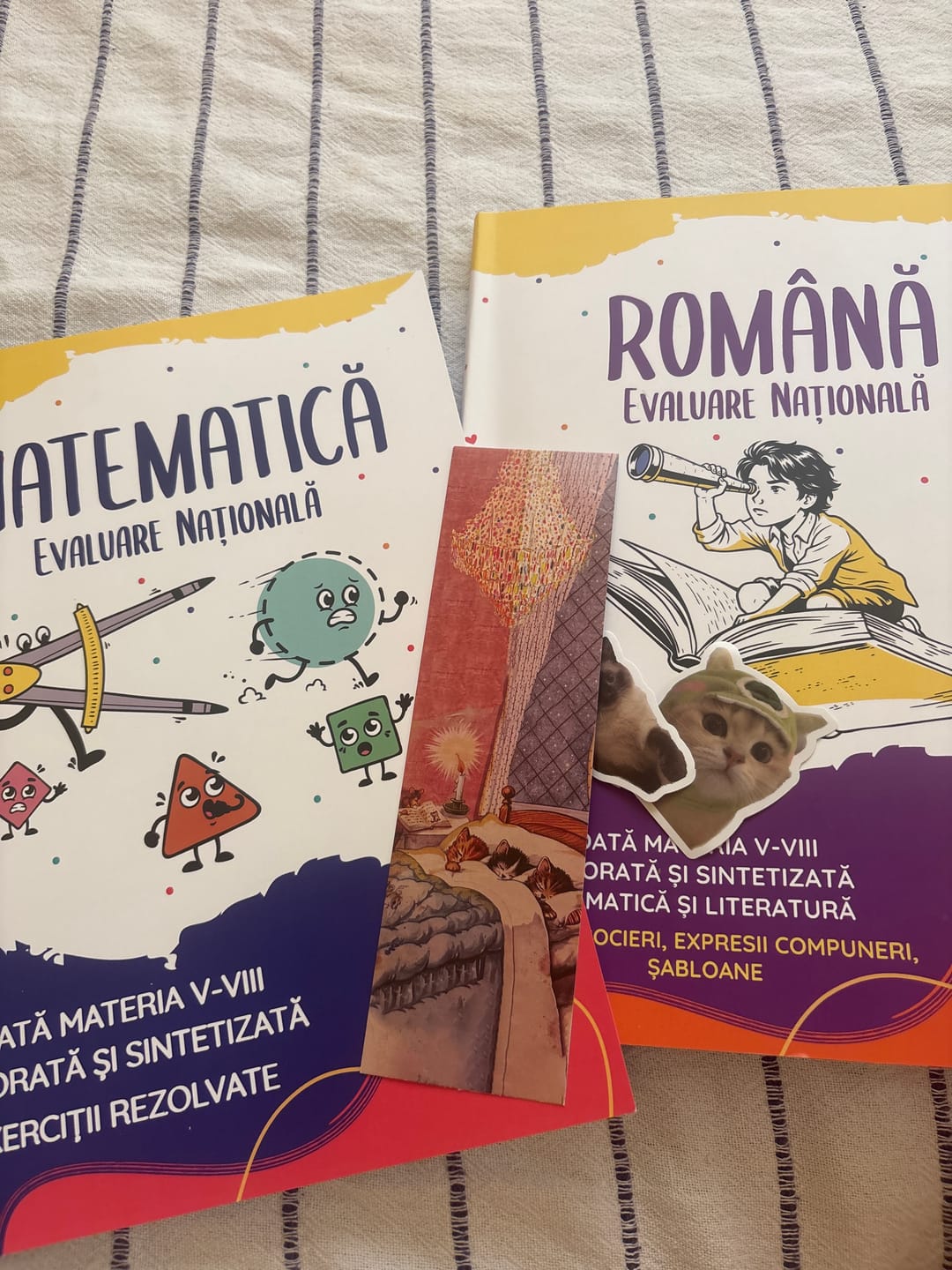 Customer photo review of Pachet Evaluare Națională (Română + Matematică) Bacademia