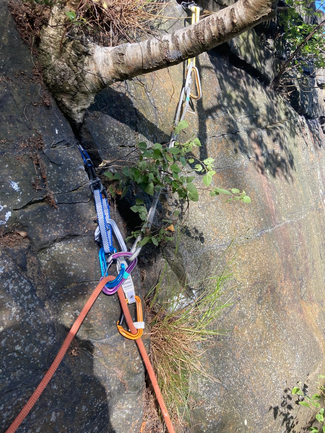 Customer photo review of Soft-Cinch - Lead Rope Solo Backfeed Preventer (5 Pack)