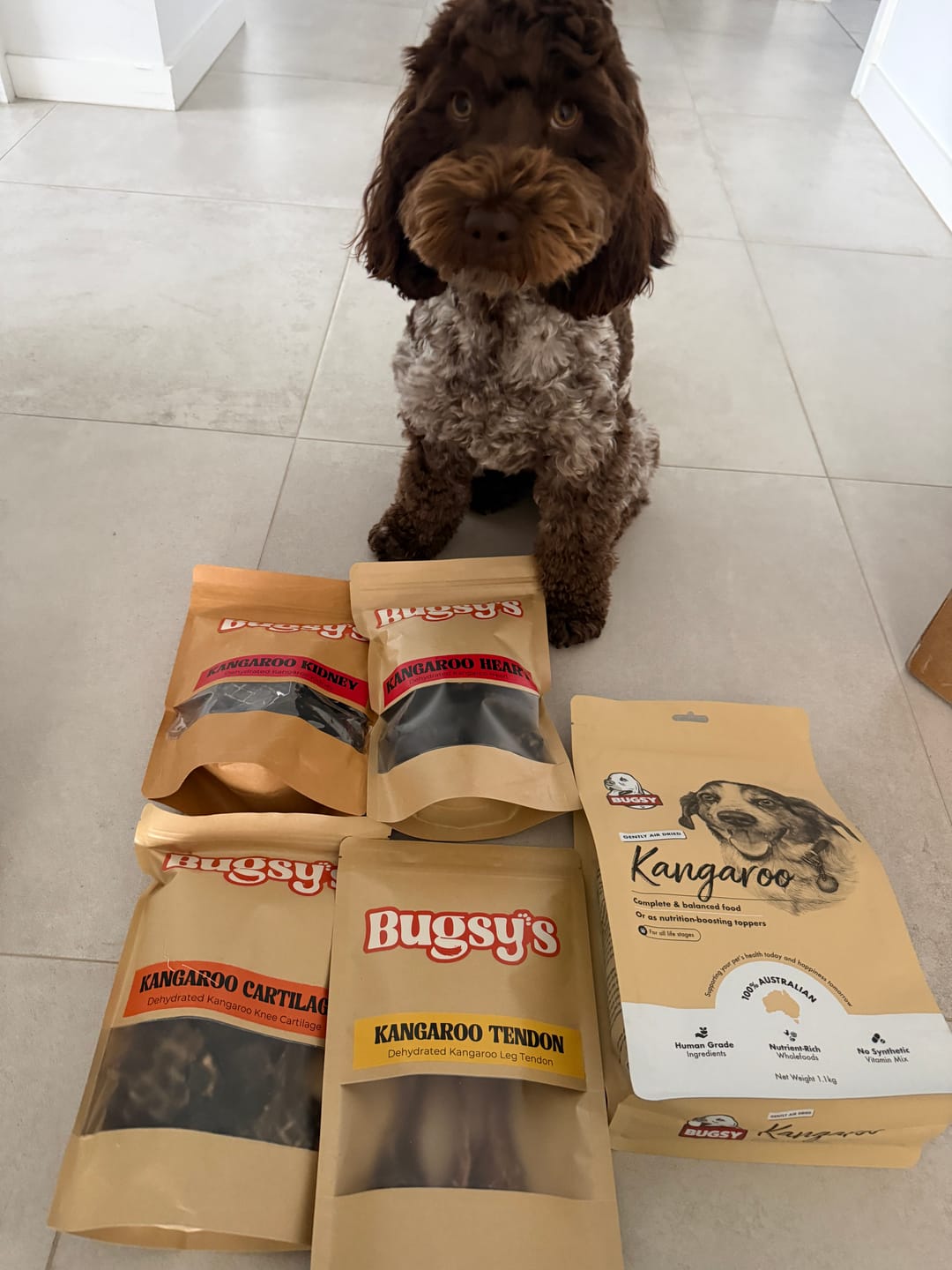 Customer photo review of Kangaroo Kidney- Dog Treat