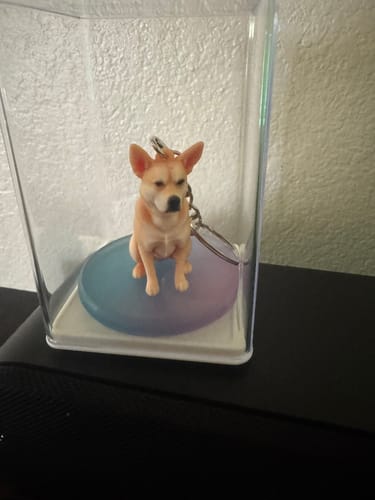 Customer's Dust-Proof Acrylic Display Case holding a small dog figurine on a circular base.