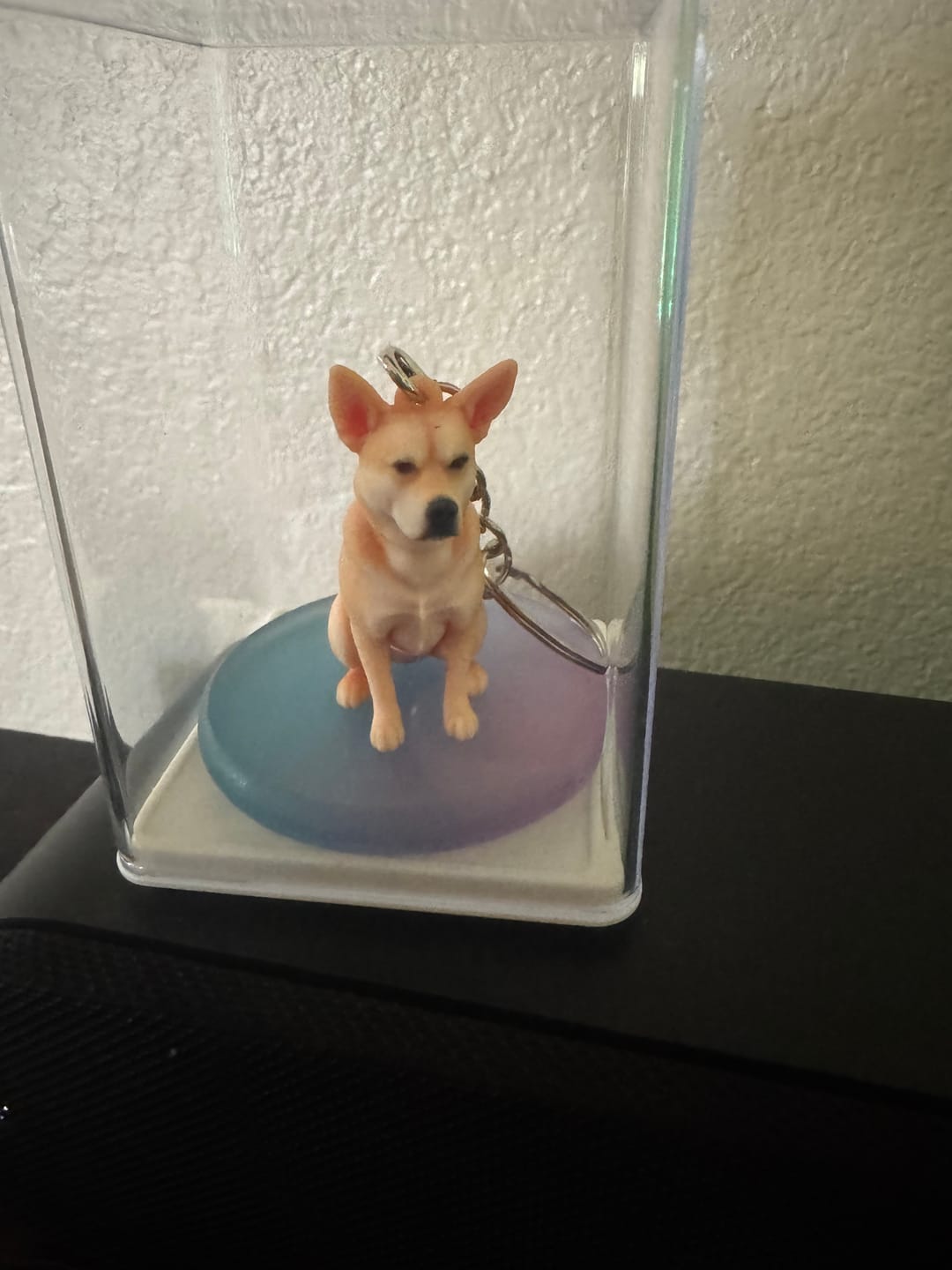 Customer photo review of Dust-Proof Acrylic Display Case