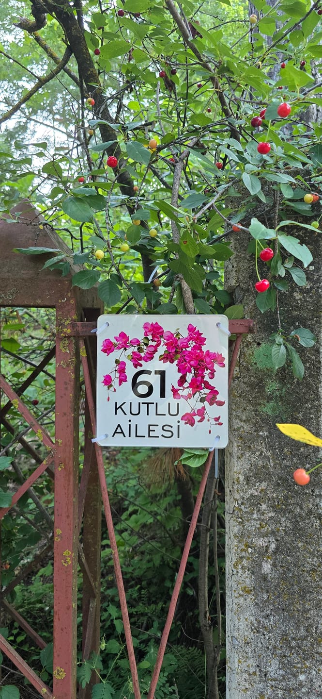 Customer photo review of Kişiye Özel Begonvil Çiçekli Kapı İsimliği