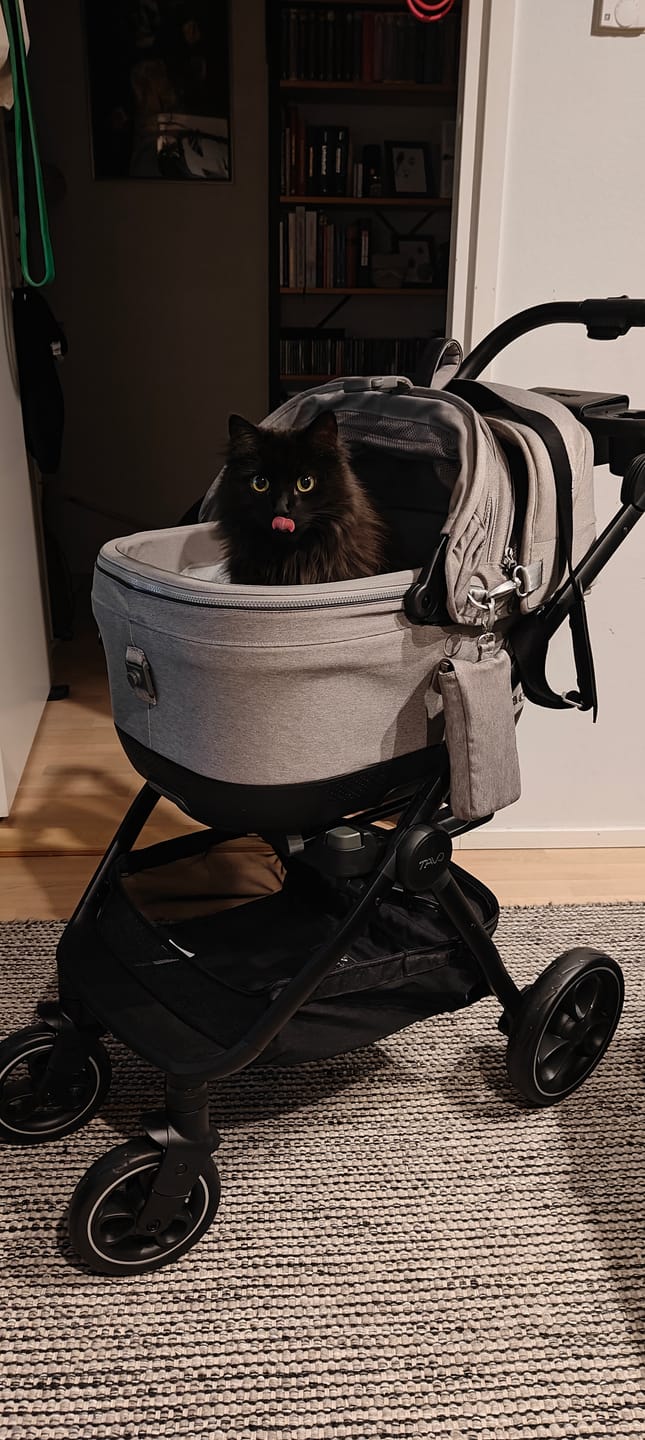 Customer photo review of Maeve ISO5X Travel System - Lemmikkirattaat
