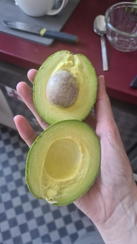 Ein Rezensent hält eine aufgeschnittene, cremige Avocado aus der Späternte-Box in der Hand.