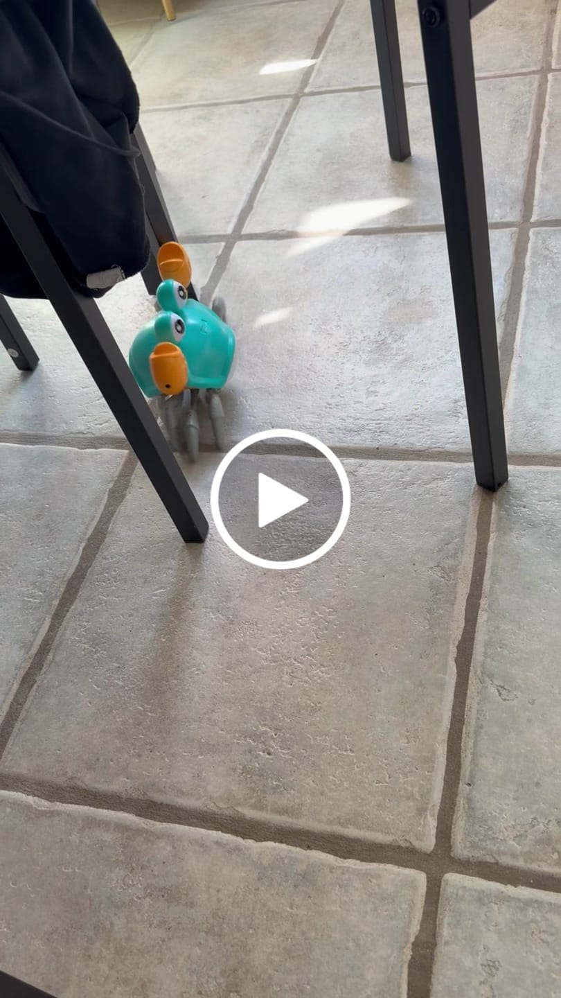 Customer video review of The Crawly Crab™