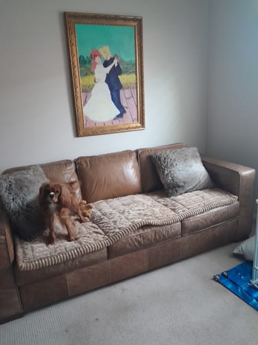 Customer photo review of Cosy Couch - Couch Cover