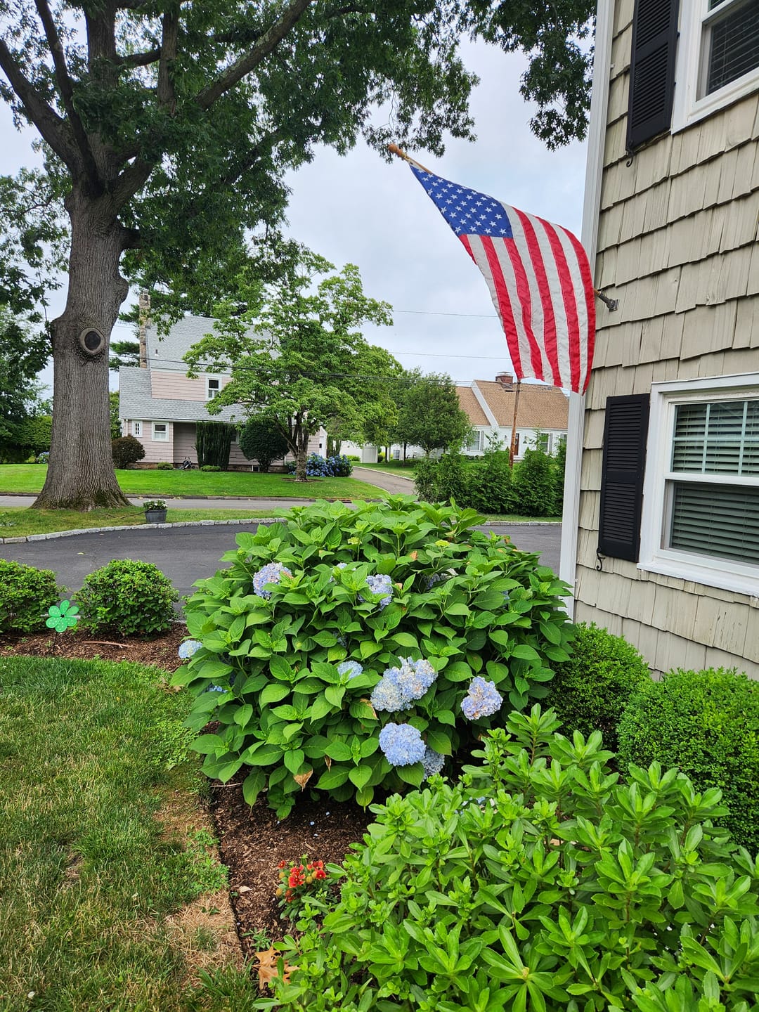 Customer photo review of 6' Flagpole