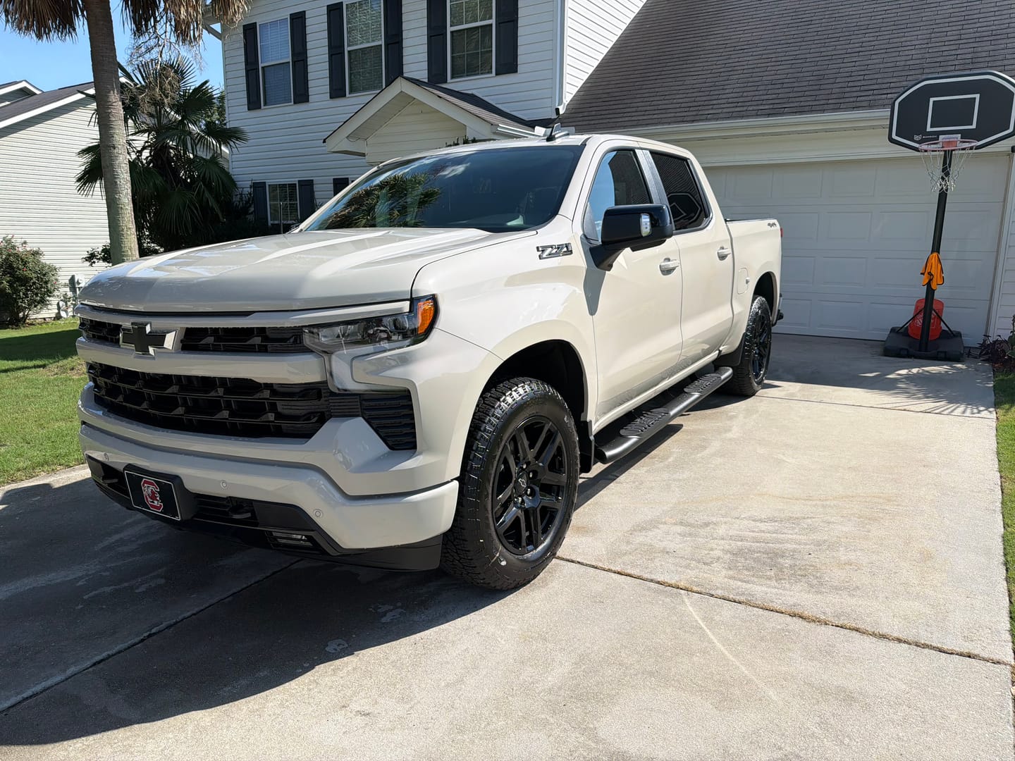 Customer photo review of Rough Country 21002 Oval Nerf Step | Crew Cab | Chevy/GMC 1500/2500HD/3500HD (19-26)