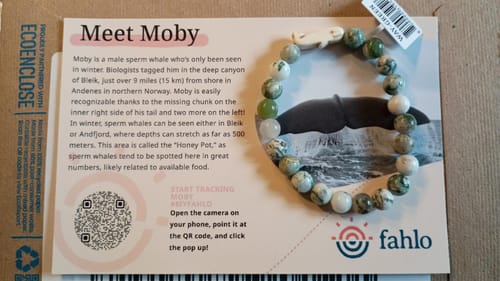 Customer's Wayfare Bracelet with green marbled beads and a whale charm, displayed on its informational card.