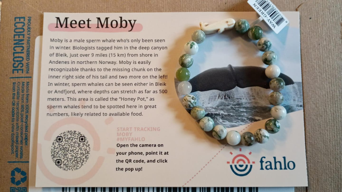 Customer photo review of The Wayfare Bracelet