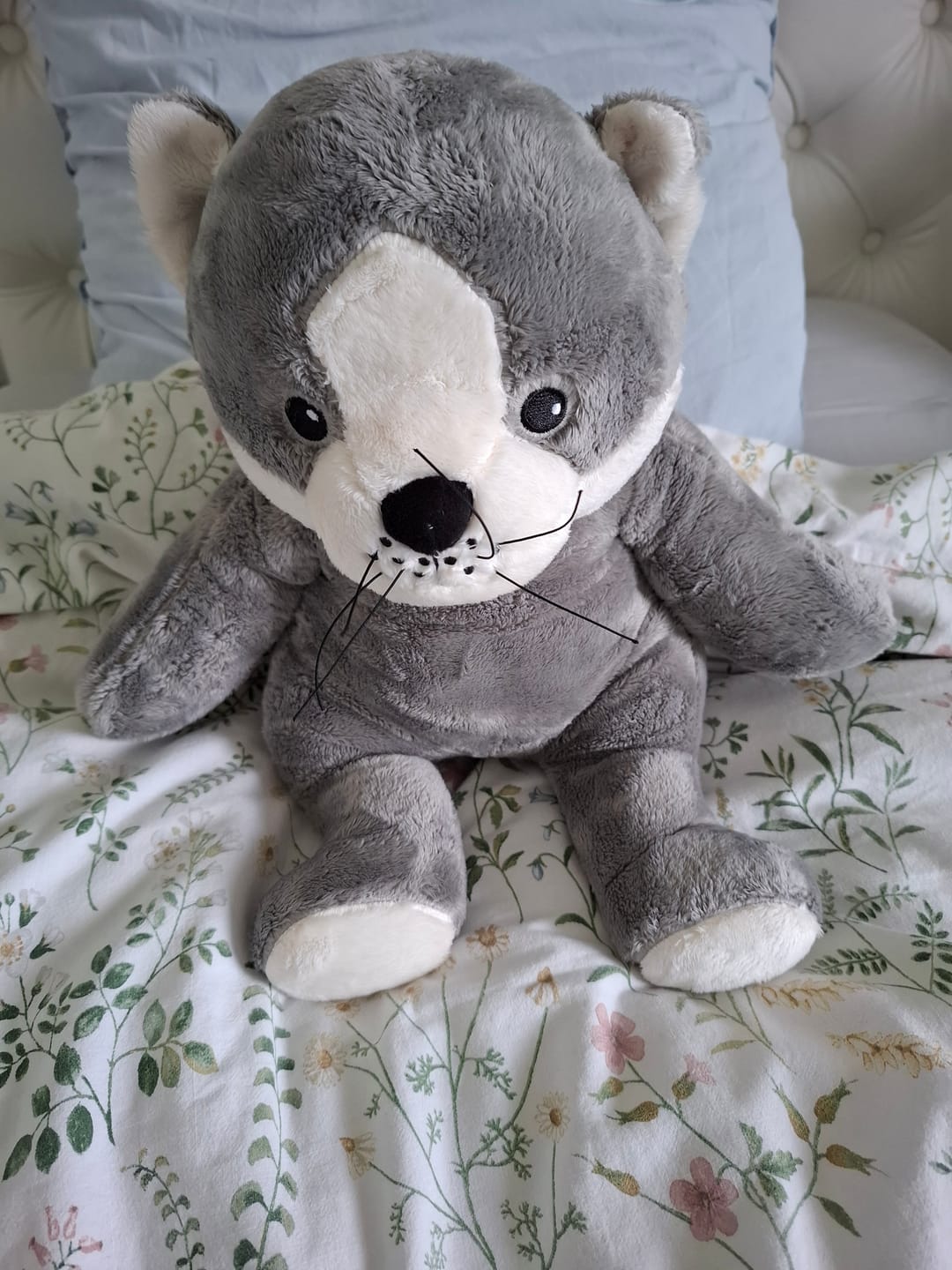 Customer photo review of Lotgenootje Kat 2kg