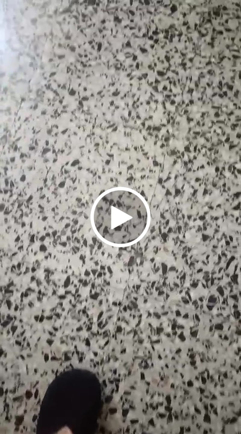 Customer video review of Roots Livana Zebra
