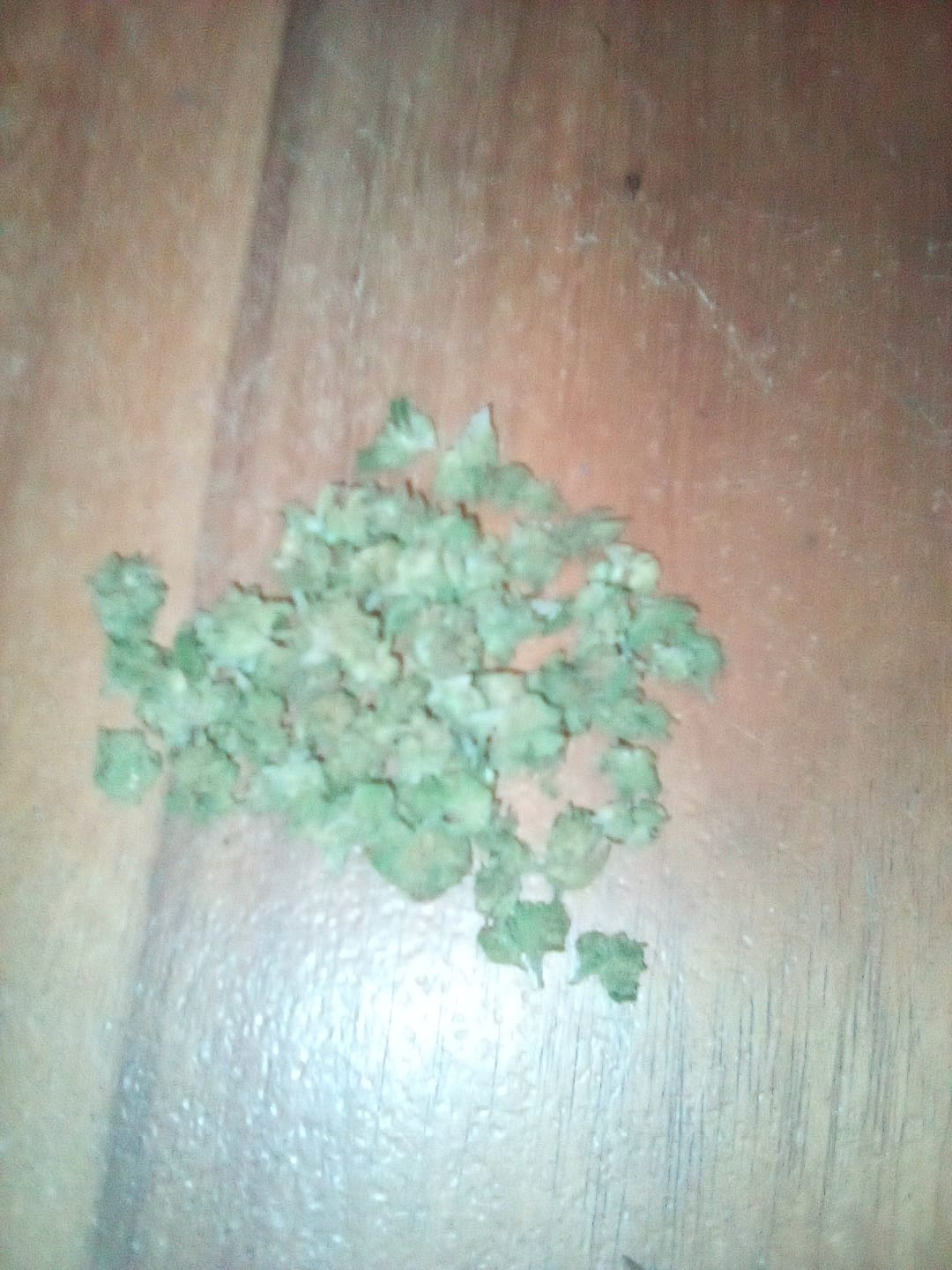 Customer photo review of Blue Dream - Minis - 28 Grams - Sativa