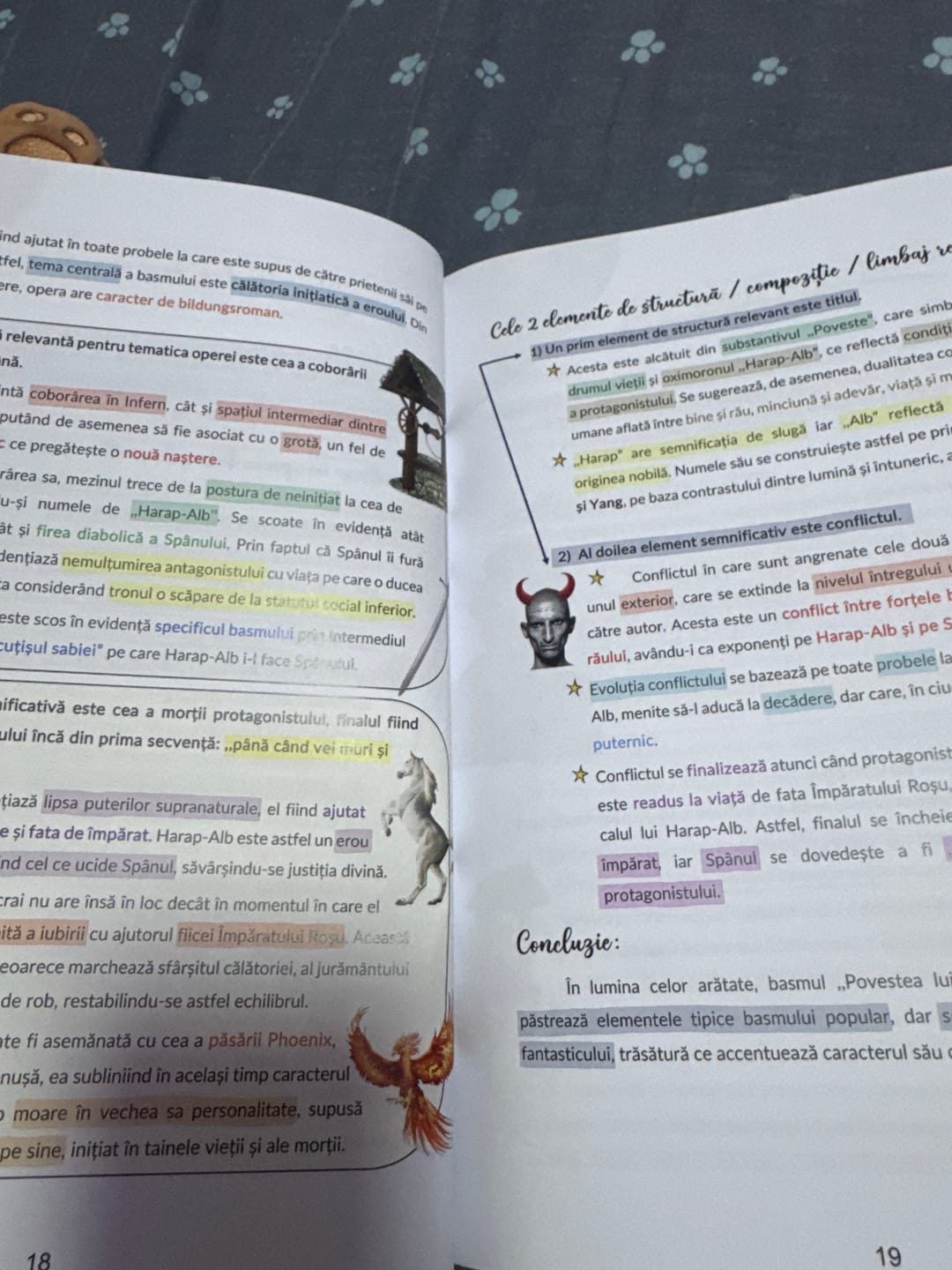 Customer photo review of Carte Română Bacalaureat Bacademia (temă și viziune, caracterizare, relație) - Ediția II