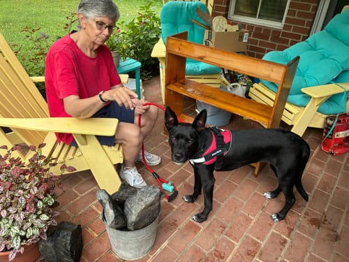 Customer's black dog wearing the red Personalized Dog Harness while standing on a brick patio with a person.