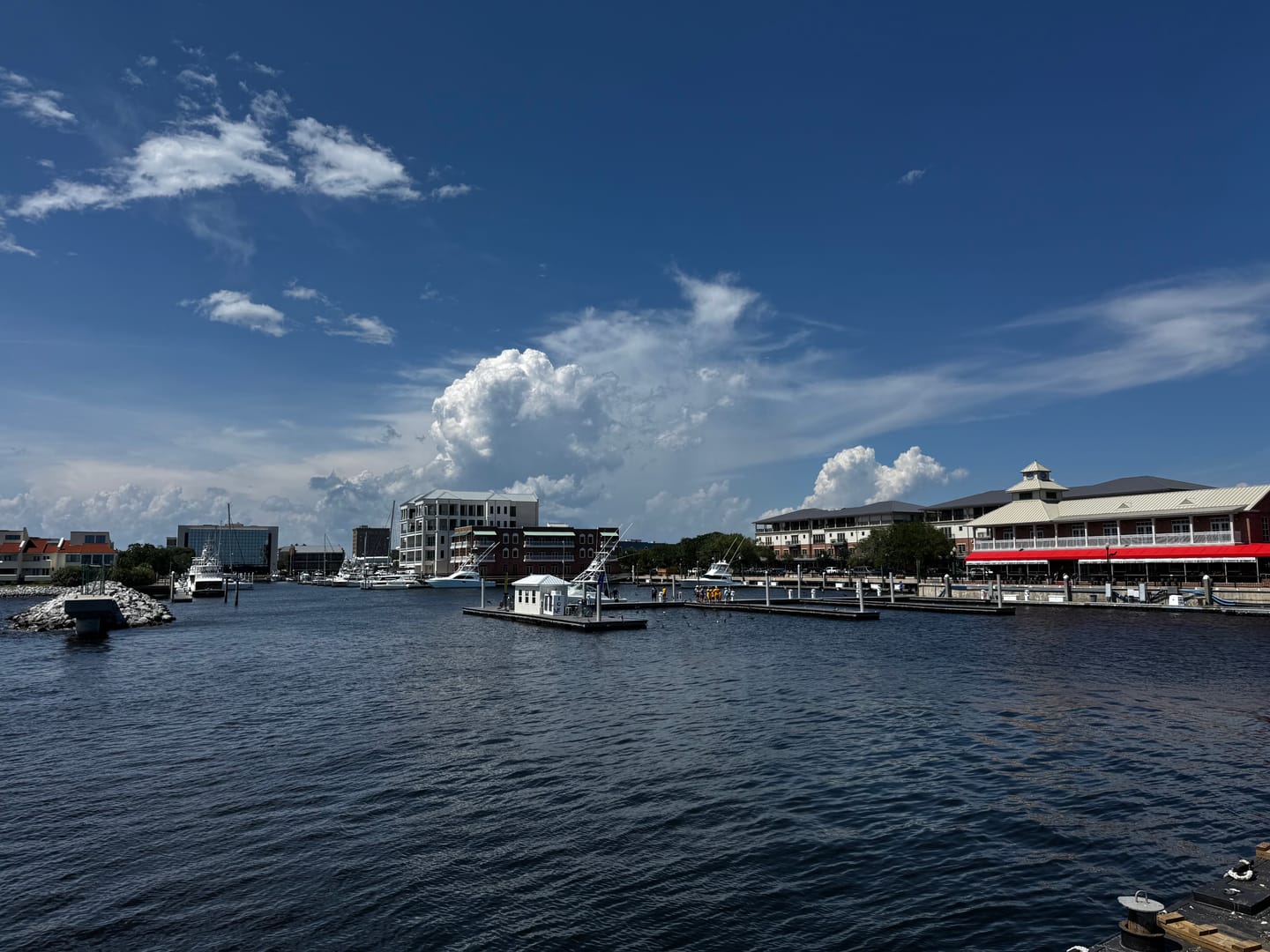 Customer photo review of Osmo Cinematic LUTs