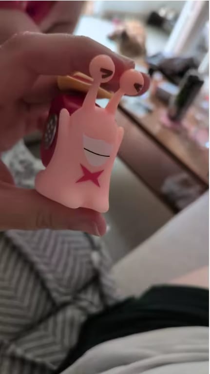 Customer photo review of Mushi Voice Grabadora