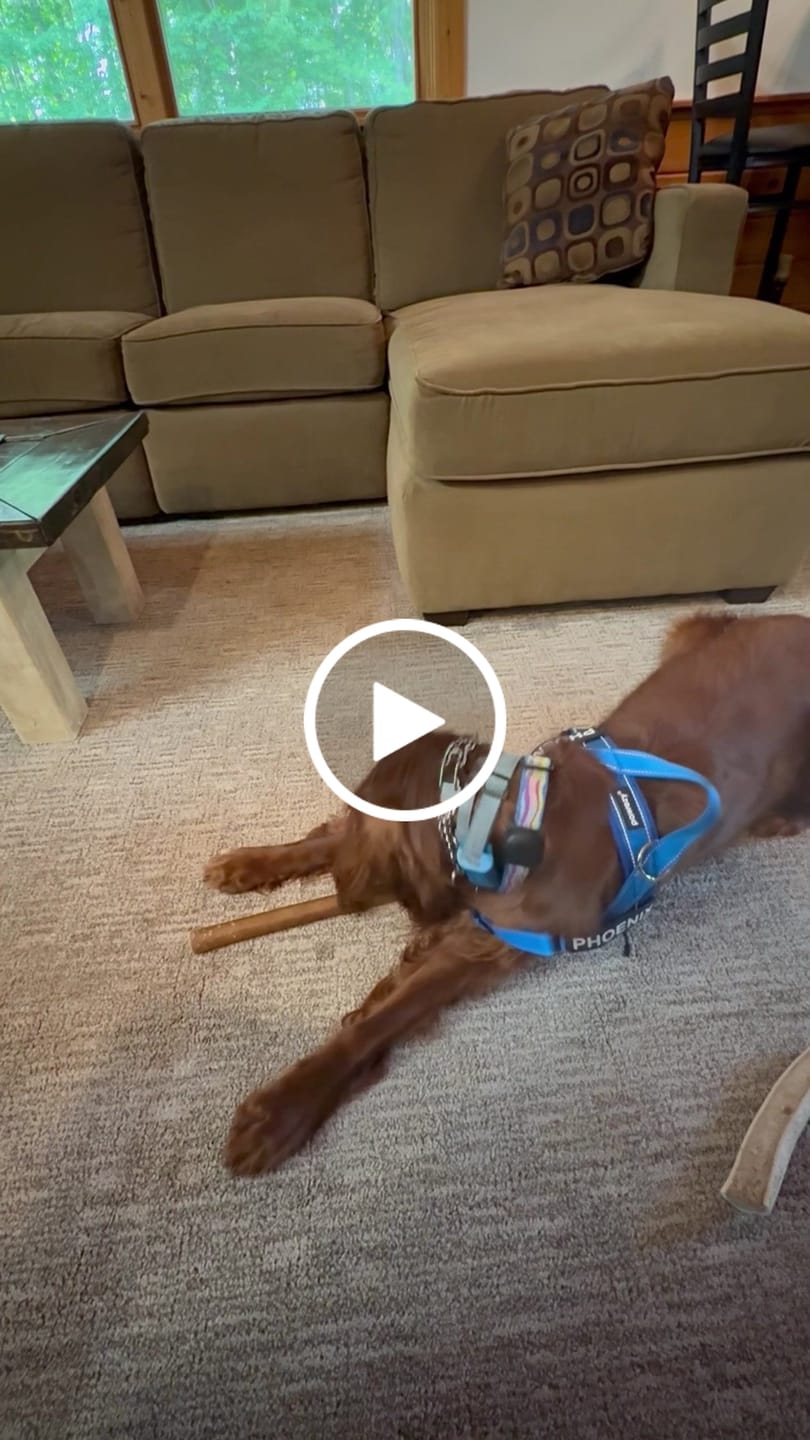 Customer video review of Wholly Pup Gift Card
