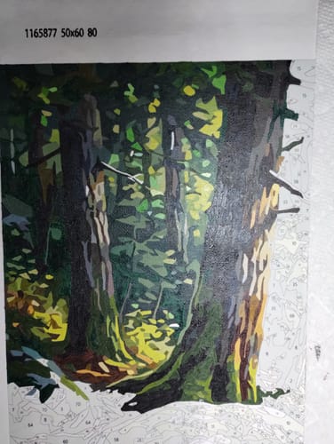 Customer photo review of Native American River Journey (80 Colors)