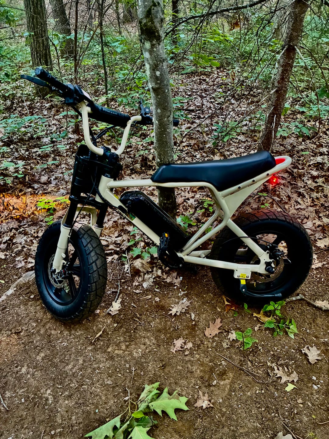 Customer photo review of Macfox E-bike M16