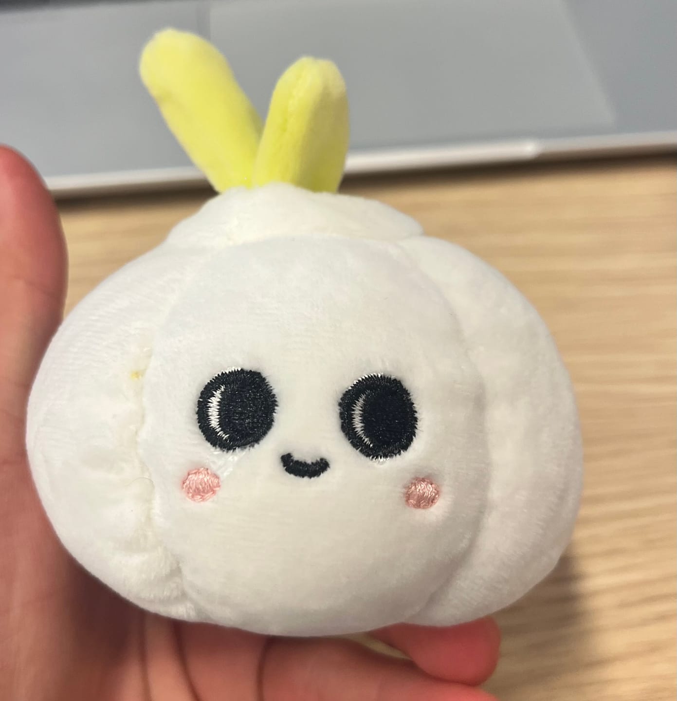 Customer photo review of Cute Fruit and Vegetable Plushies