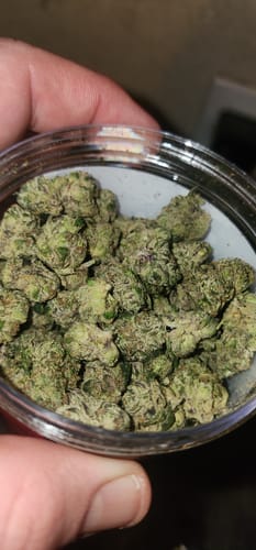 Boutique Exotics - Lemon Dior - 28 Grams - Hybrid photo review