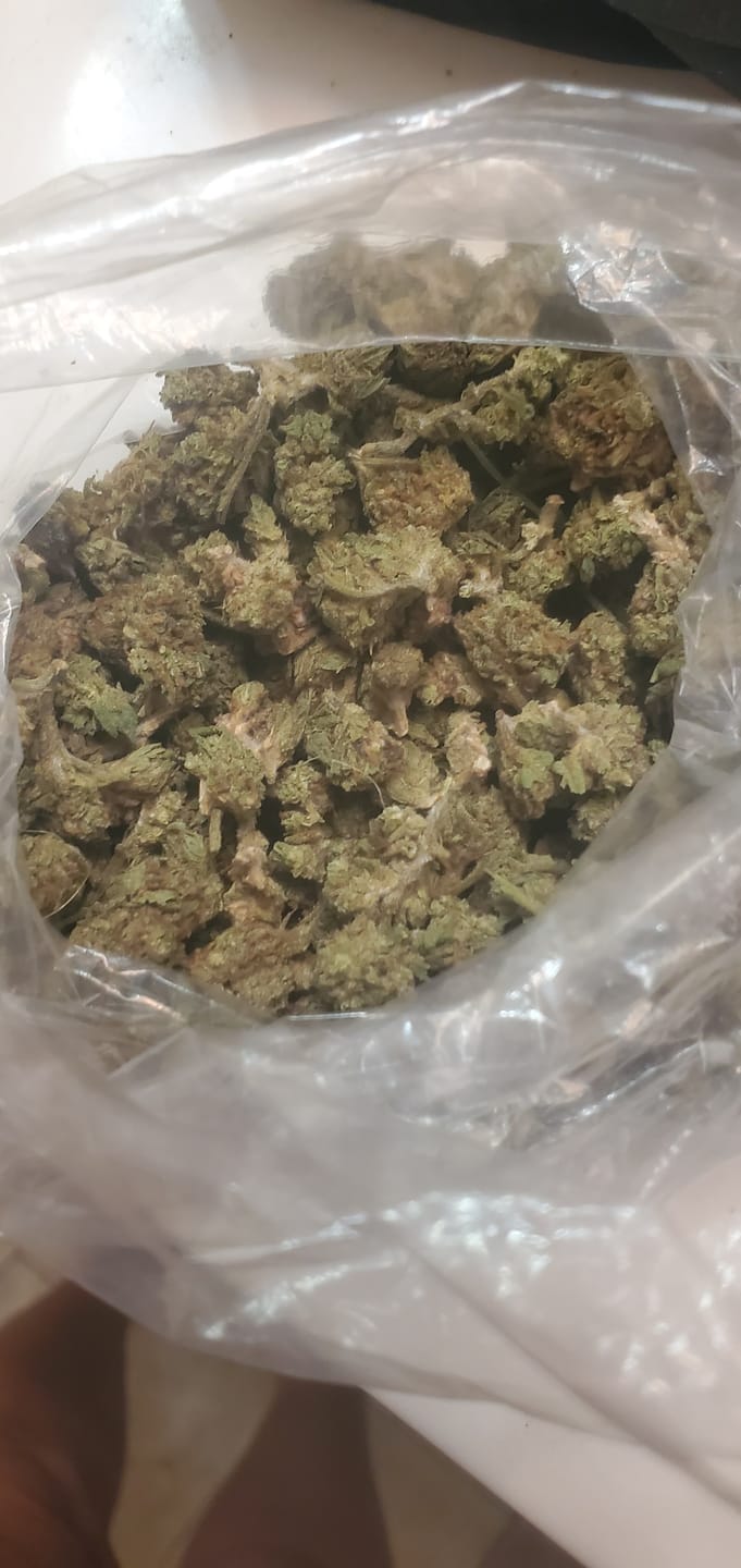 Customer photo review of Hashburger - Minis - 14 Grams - Indica
