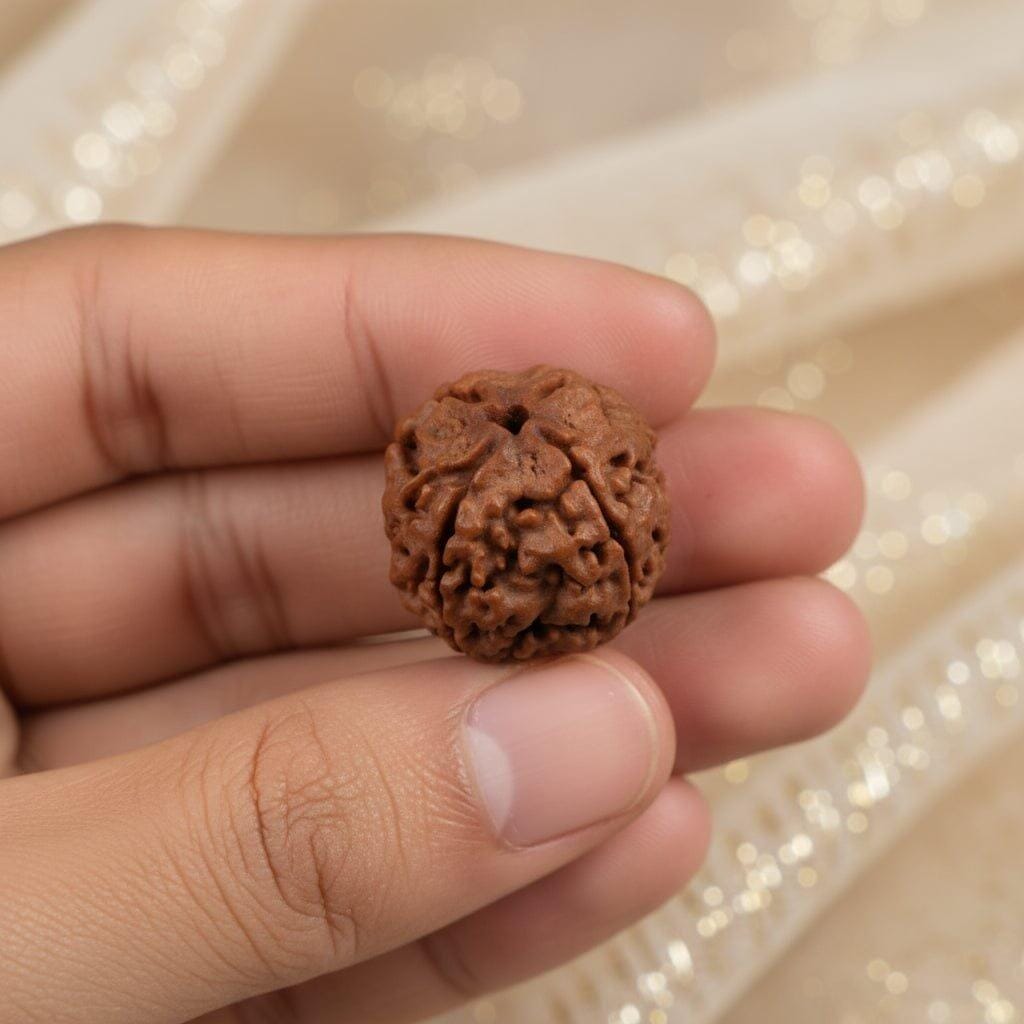 Customer photo review of Nepal Origin 4 Mukhi Rudraksha - 17mm to 22mm