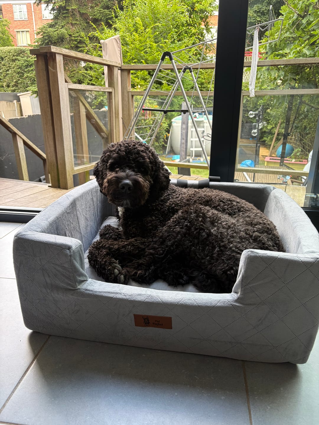 Customer photo review of Pet Perfect Premium Hondenmand Auto - Autostoel Hond - Orthopedisch