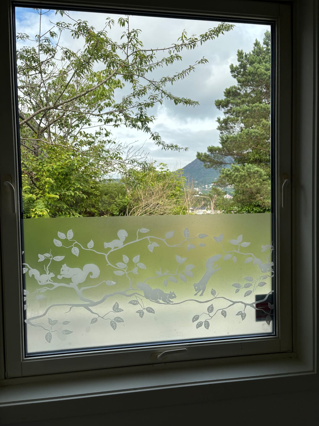 Customer photo review of Static Premium Pineview vindusfolie