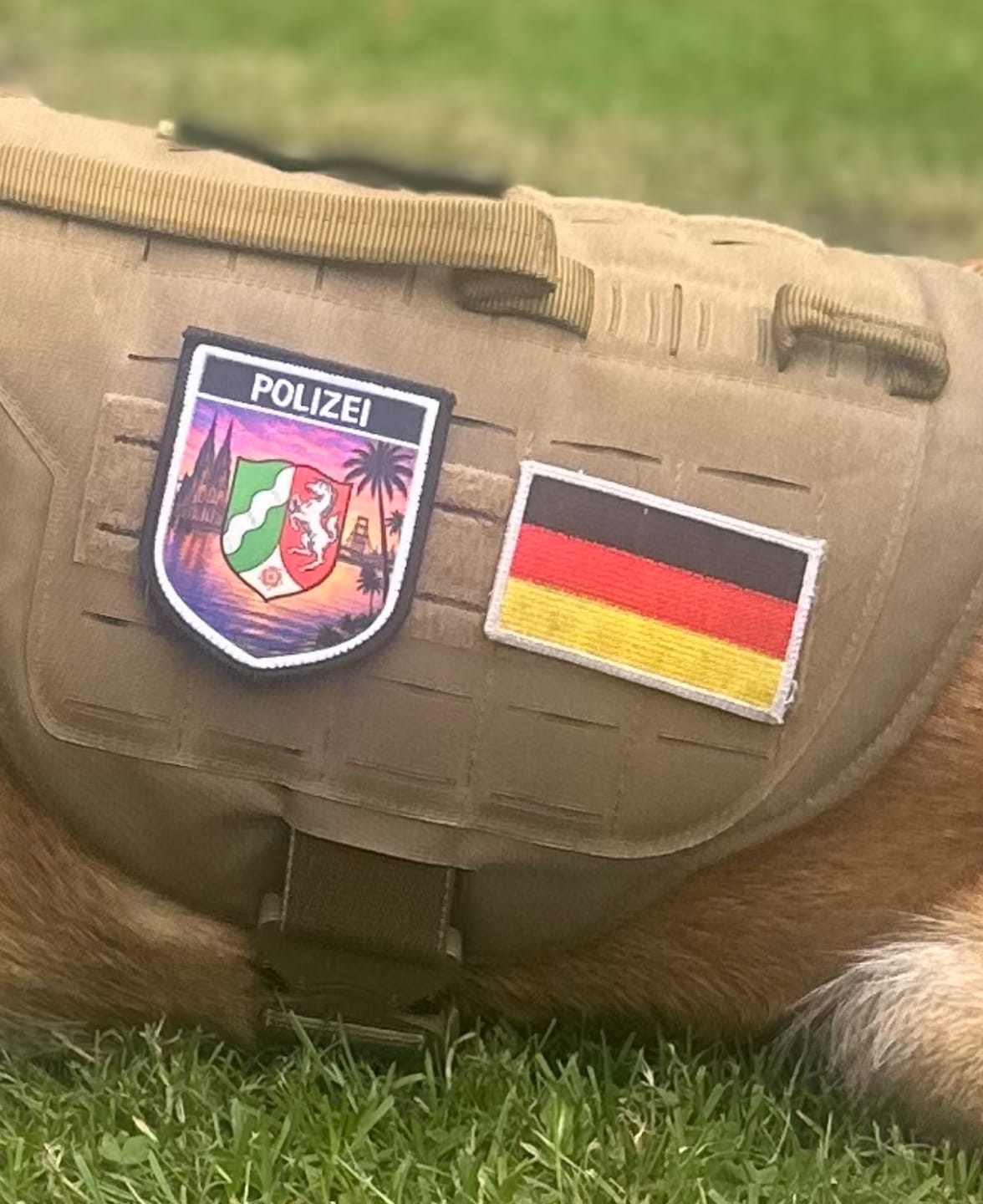 Customer photo review of Polizei Bundesländer Summer Edition Textil Patches