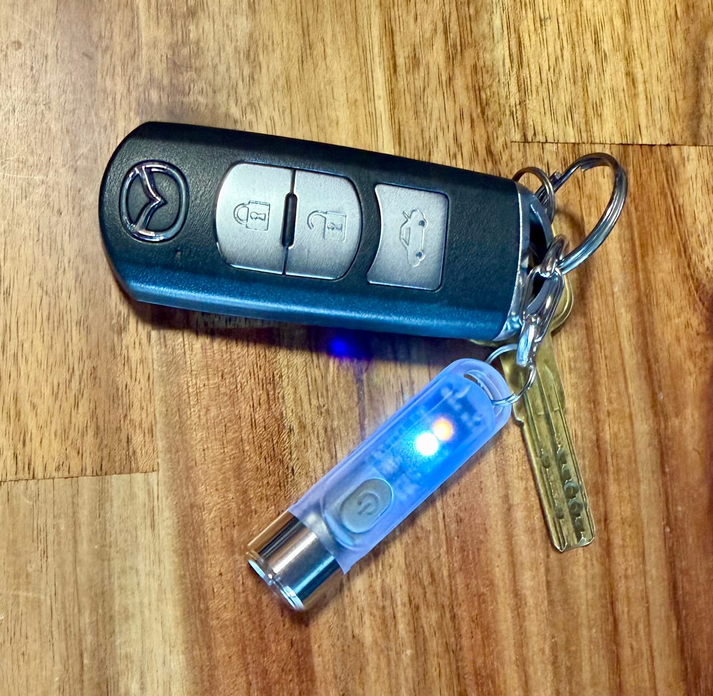 Customer photo review of TIKI - 300 lumens