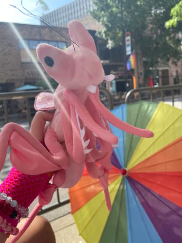 Customer photo review of Realistic Pink Orchid Mantis Plush – Lifelike, Soft, and Perfect for Insect Enthusiasts