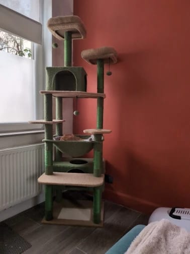Customer photo review of La Résidence de Gatsby – Arbre à Chat Maine Coon avec Niche, Hamac et Perchoir Panoramique (113 cm)