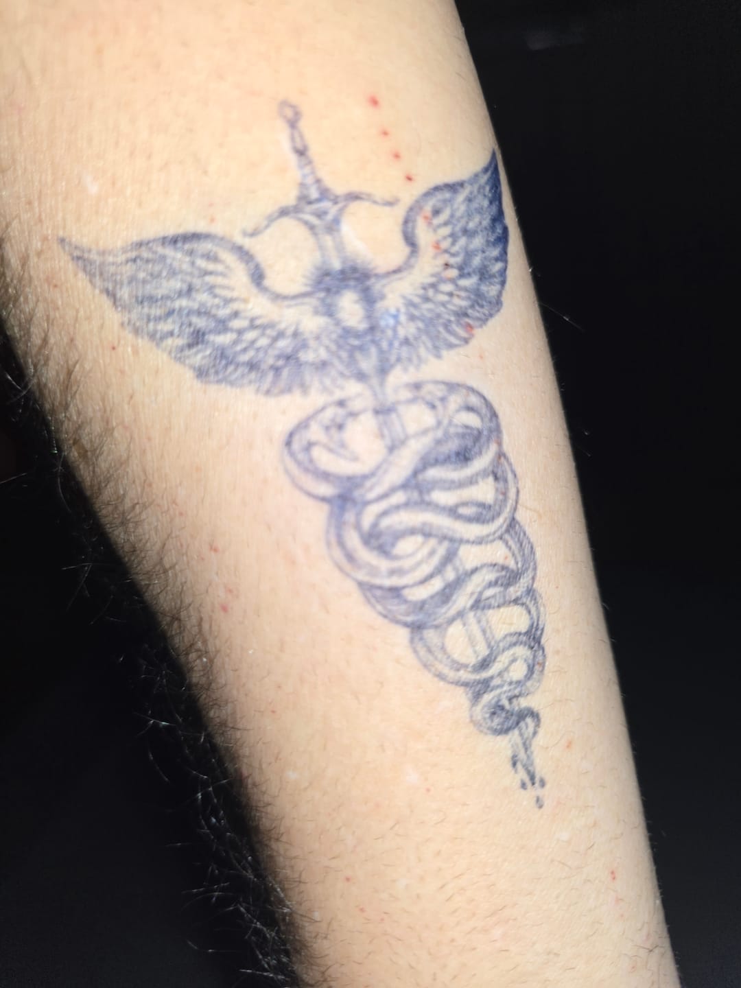 Customer photo review of Sword Caduceus