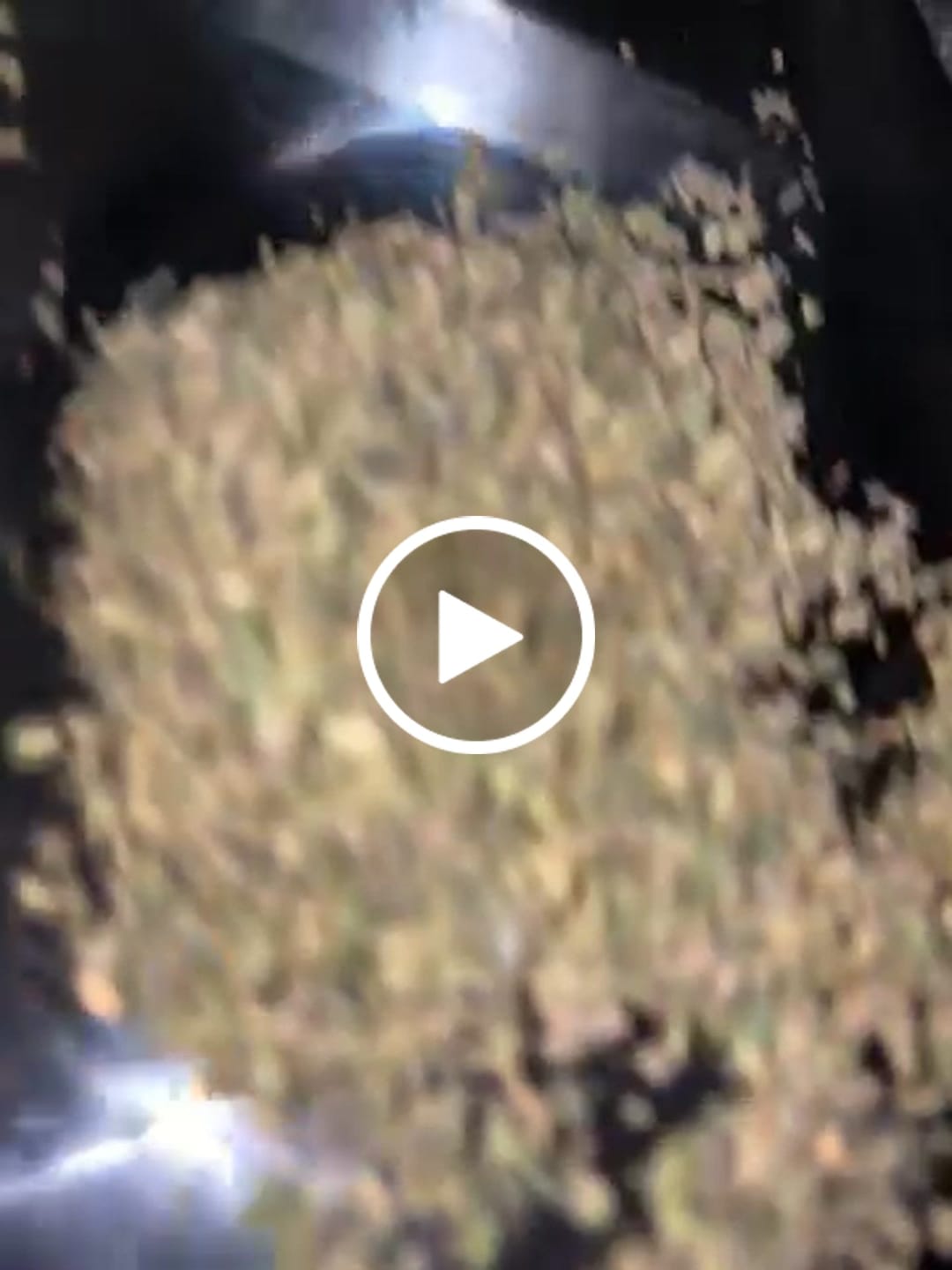 Customer video review of BOGO - Purple Cake Shake 1oz