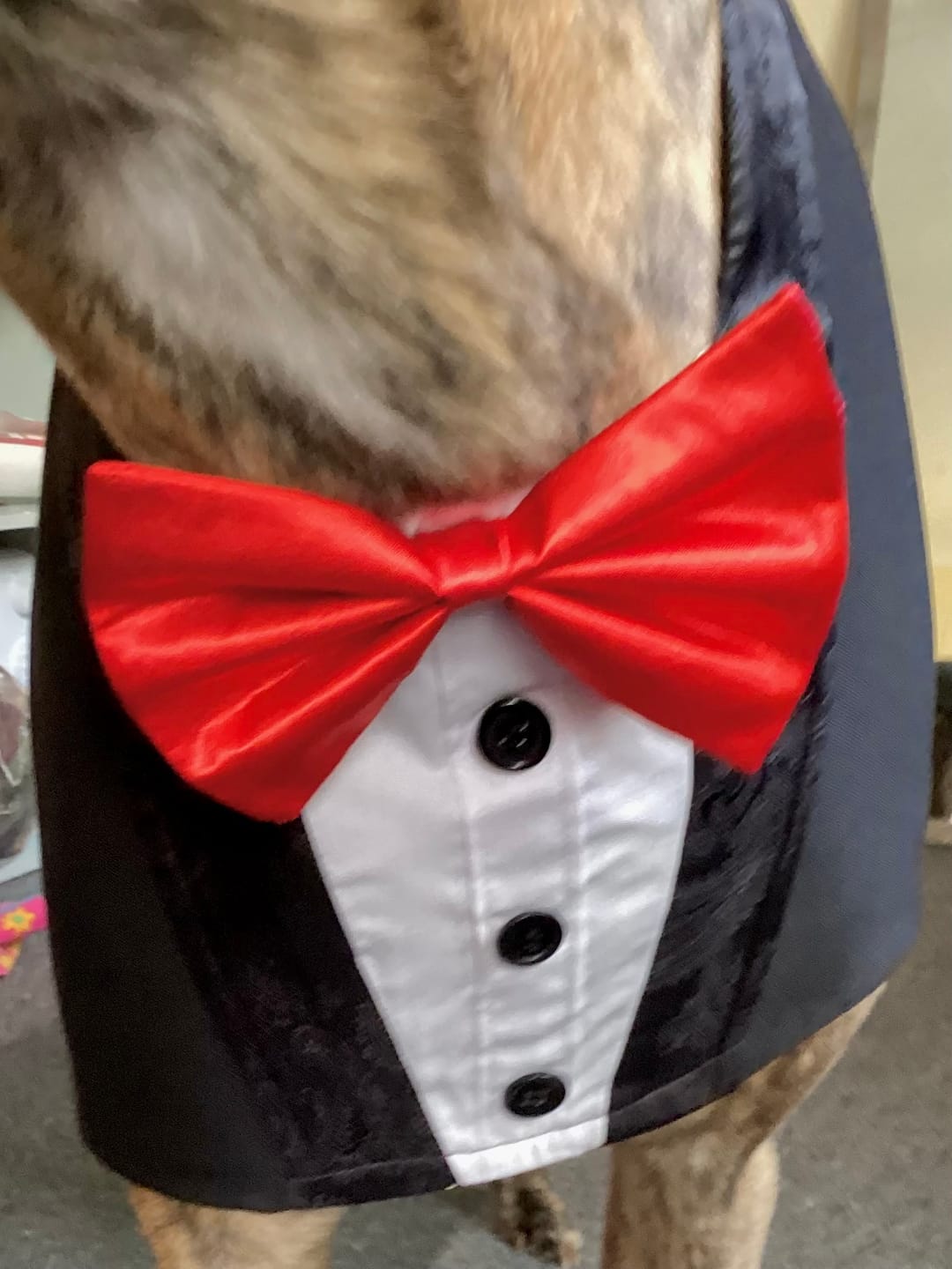 Customer photo review of Liquid Satin Fabric